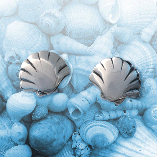silver shell stud earrings