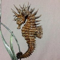 bronze seahorse art