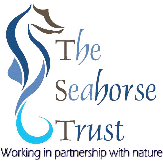 the seahorse trust