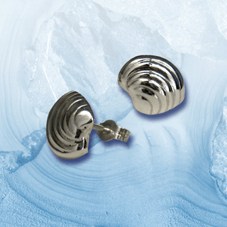 silver clam shell earrings