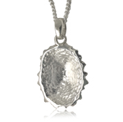 silver limpet shell