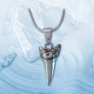 silver sharks tooth pendant