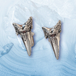 silver sharks tooth cufflinks