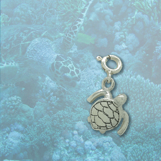 silver turtle charm