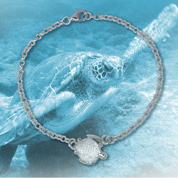turtle bracelet