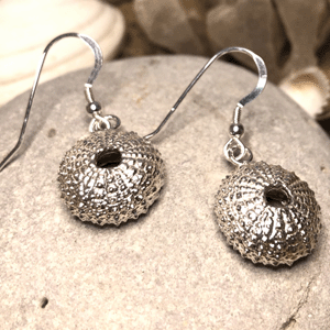 silver urchin shell earrings